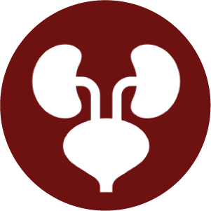 1744781994_Icon 21.png